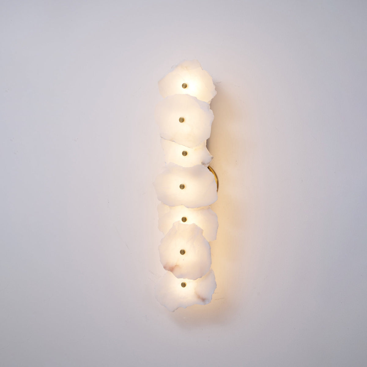 Alaeila Floral Cluster Alabaster Wall Light