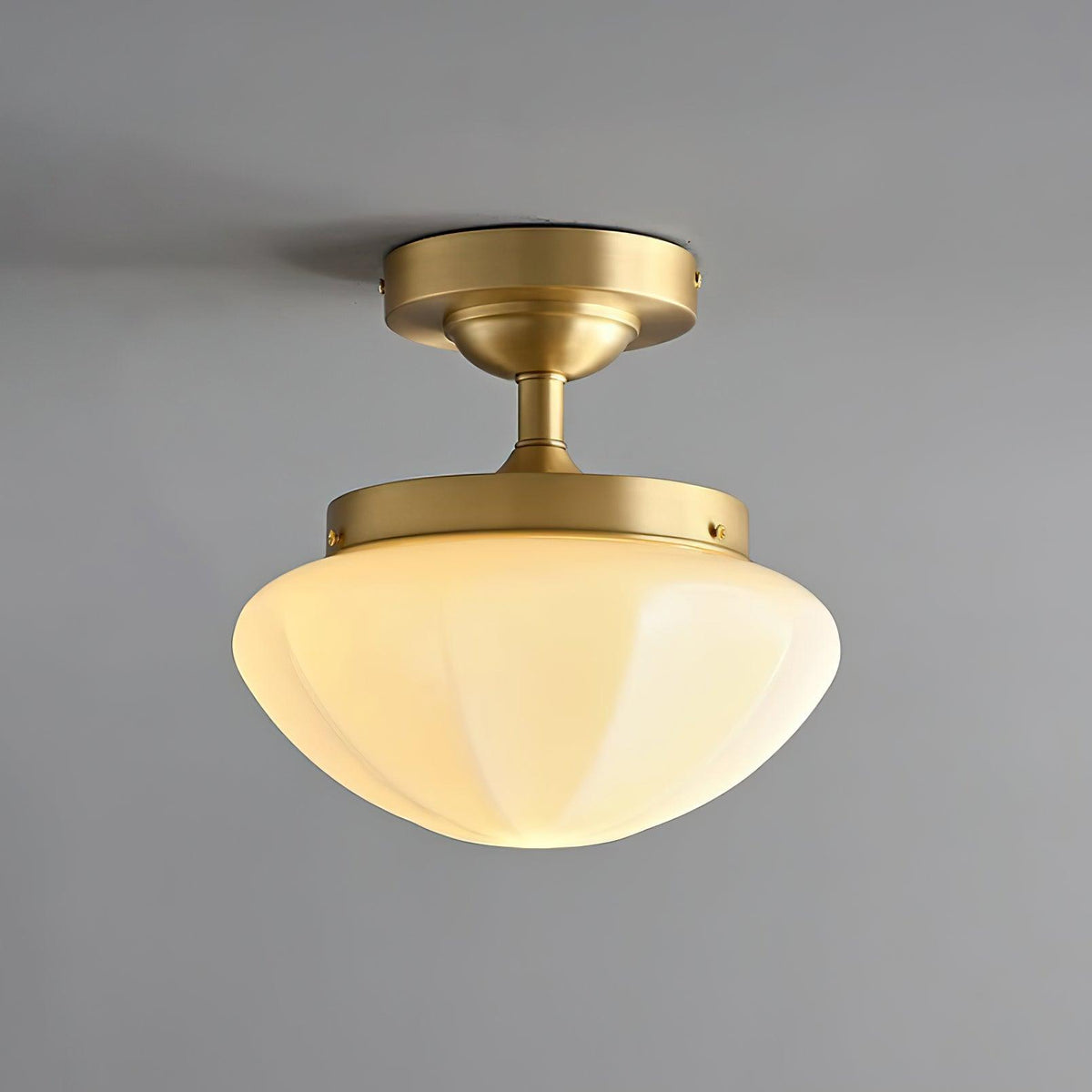 Lumoel Ceiling Light