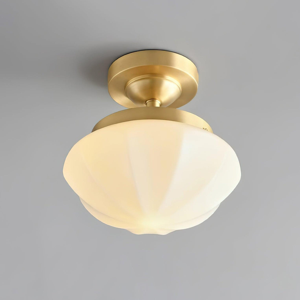 Lumoel Ceiling Light