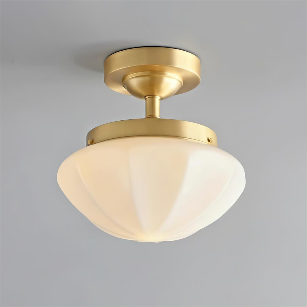 Lumoel Ceiling Light