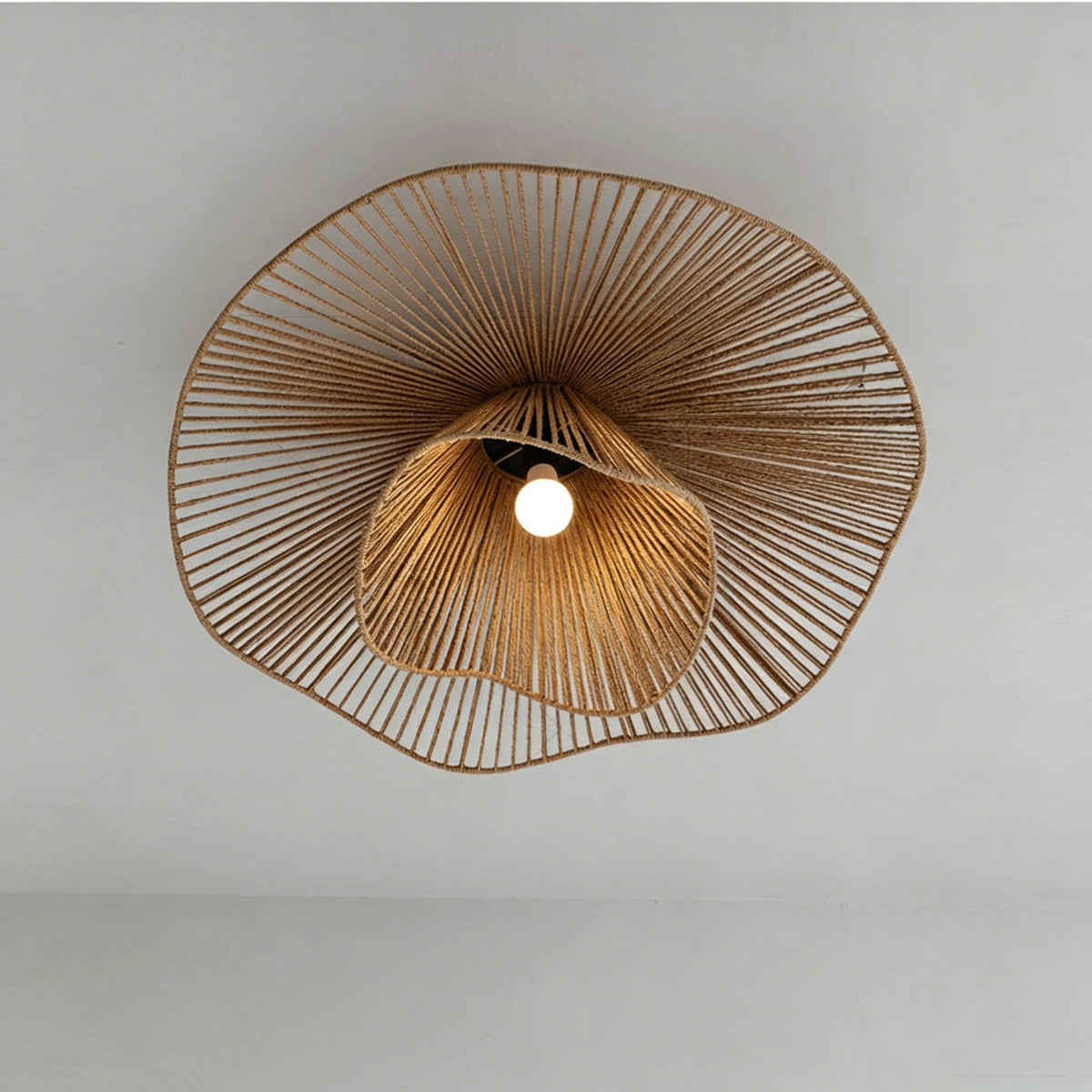 Liorariella Ceiling Light