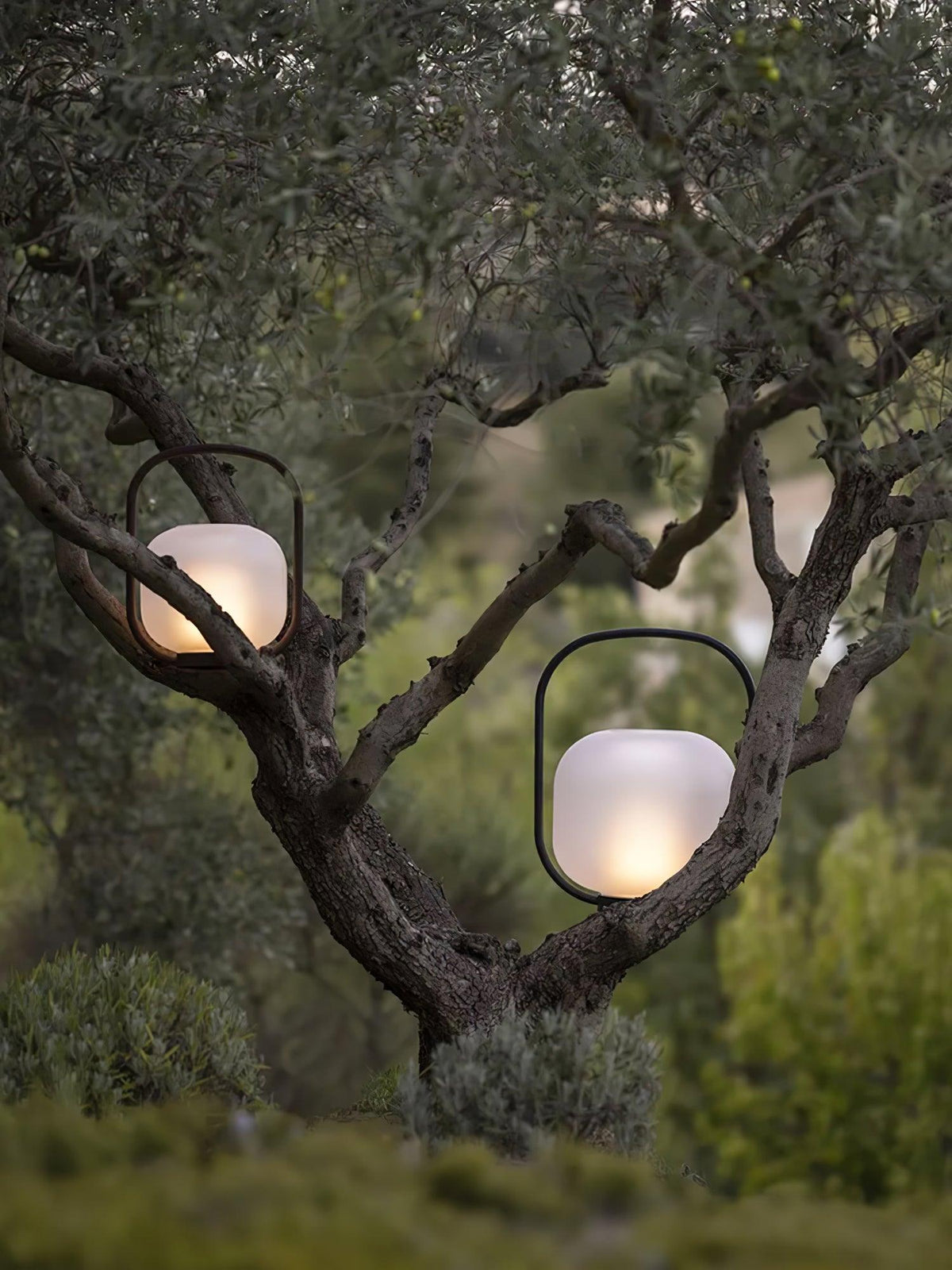 Zelaeon Minimalist Glass Table Lamp