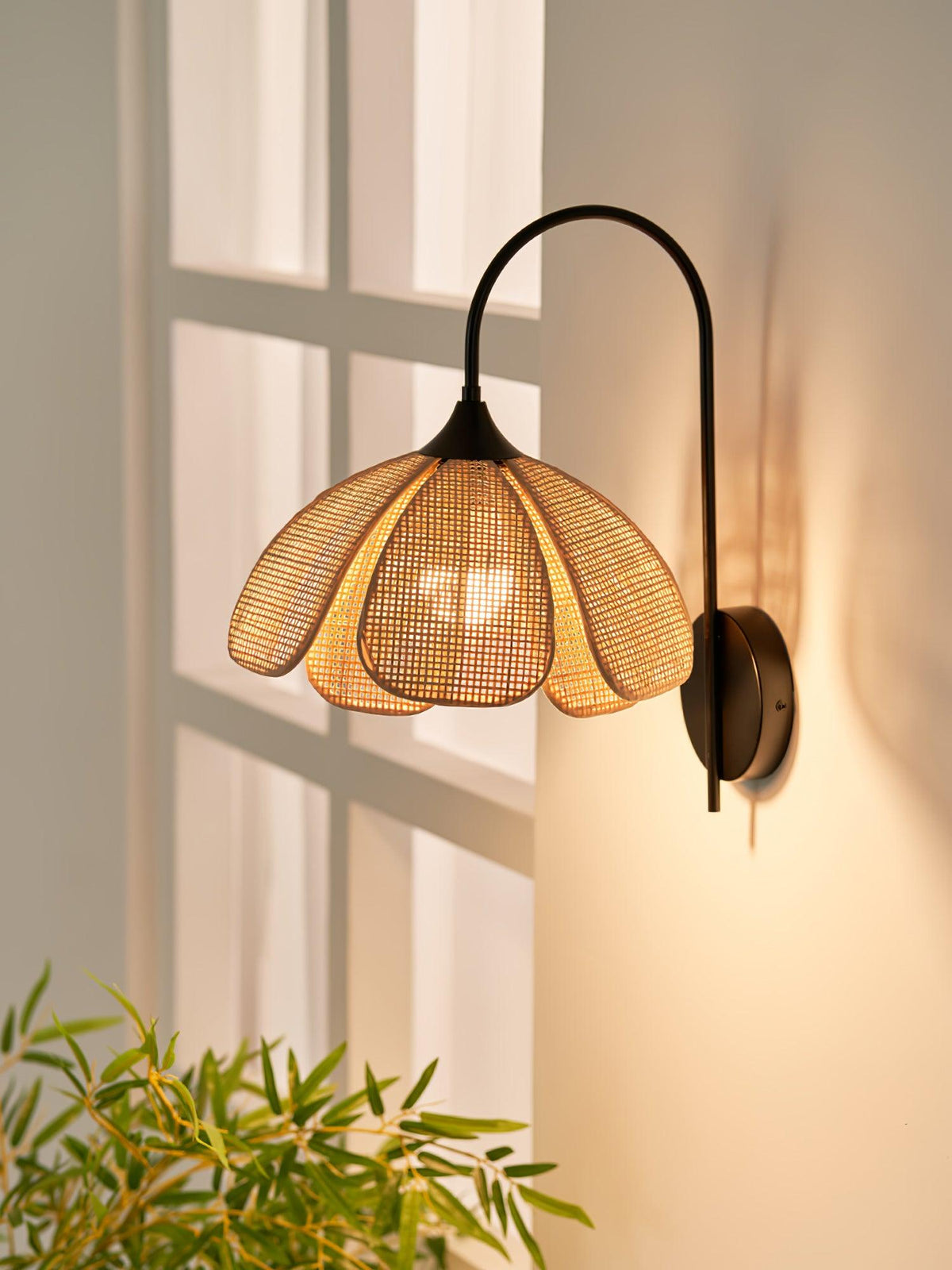 Edria Wall Lamp