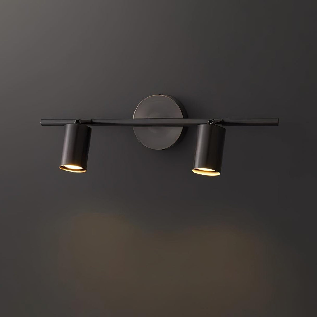 Elaivora Spotlight Wall Light