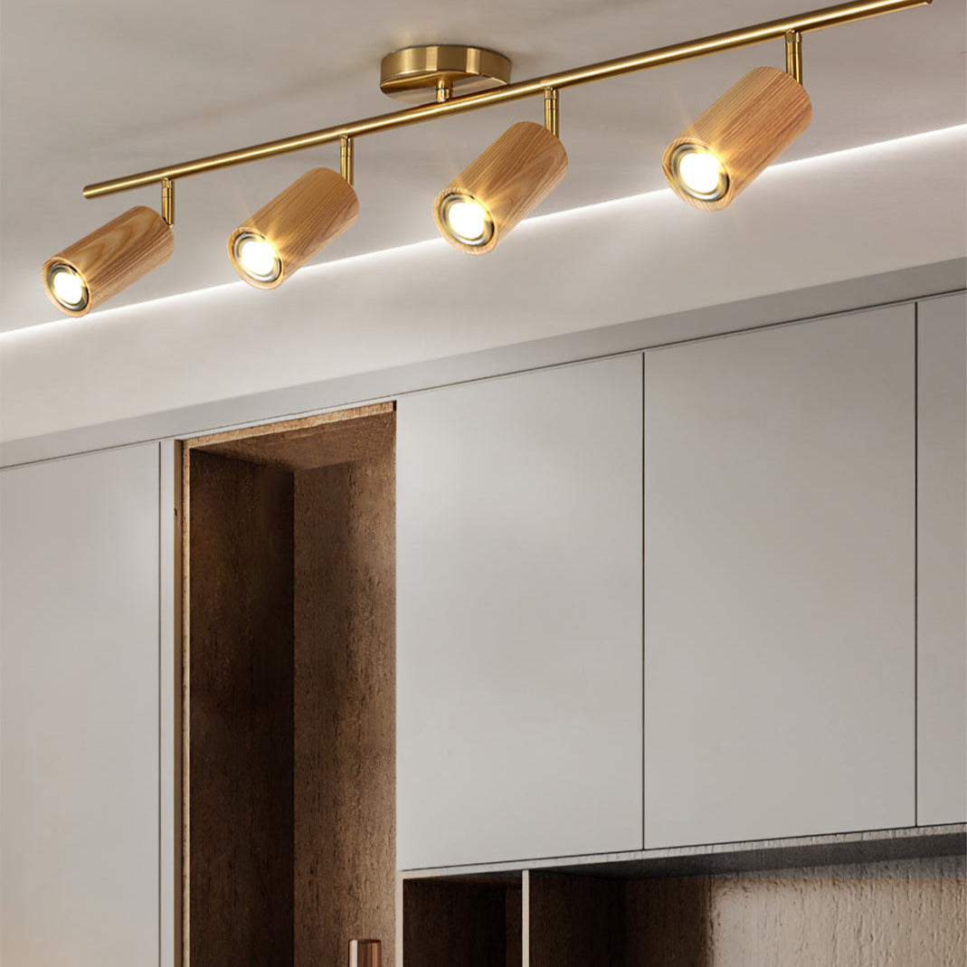 Ginemal Ceiling Light Spotlight