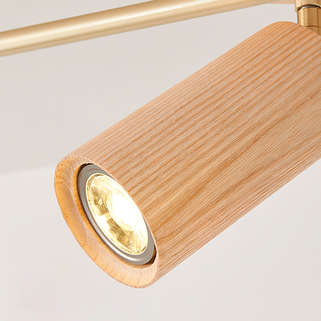 Ginemal Ceiling Light Spotlight