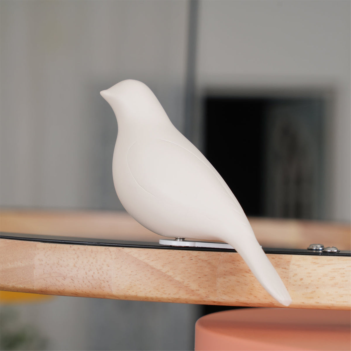 Tokagal Chandelier Bird Round