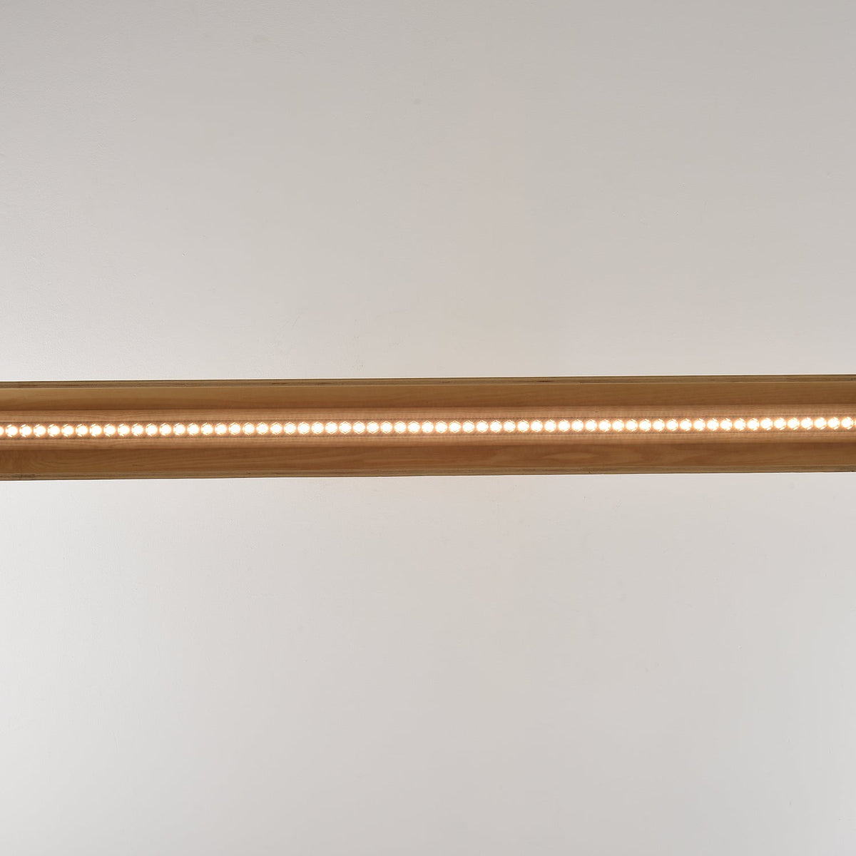 Elaoena Linear Light