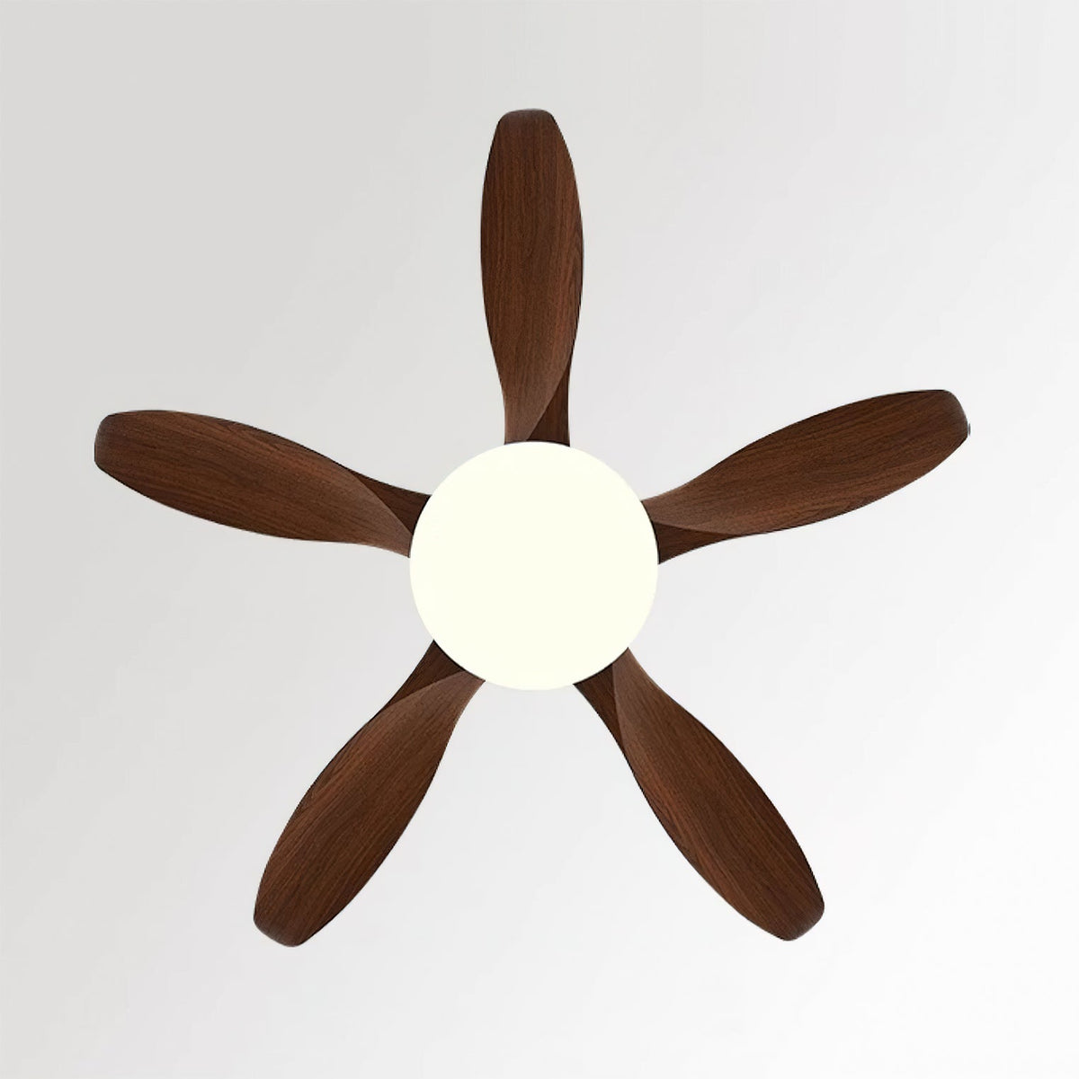 Liororeria Ceiling Fan Light