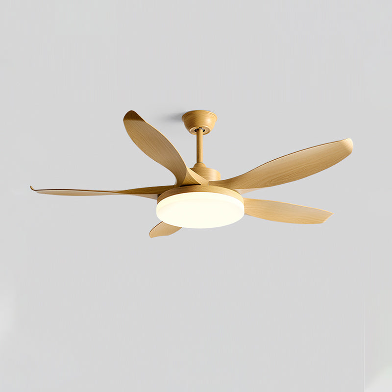 Liororeria Ceiling Fan Light