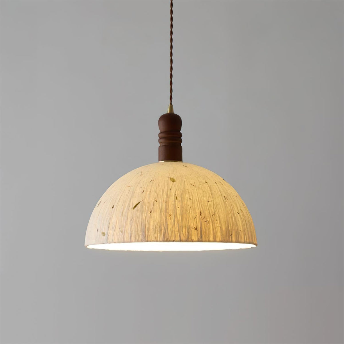 Lioroine Dome Pendant Lamp