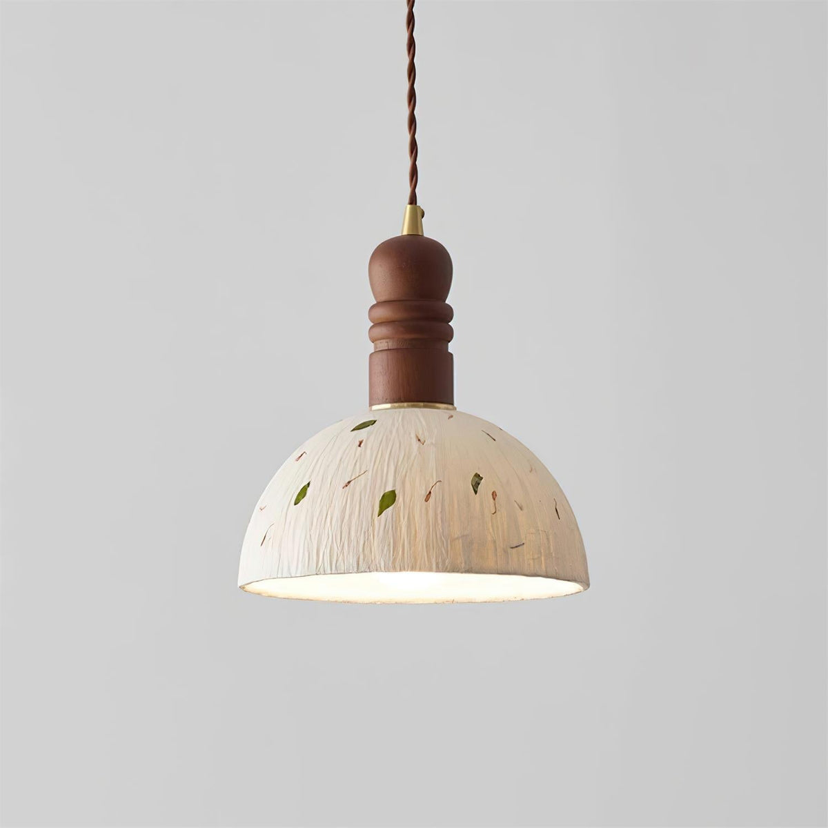 Lioroine Dome Pendant Lamp