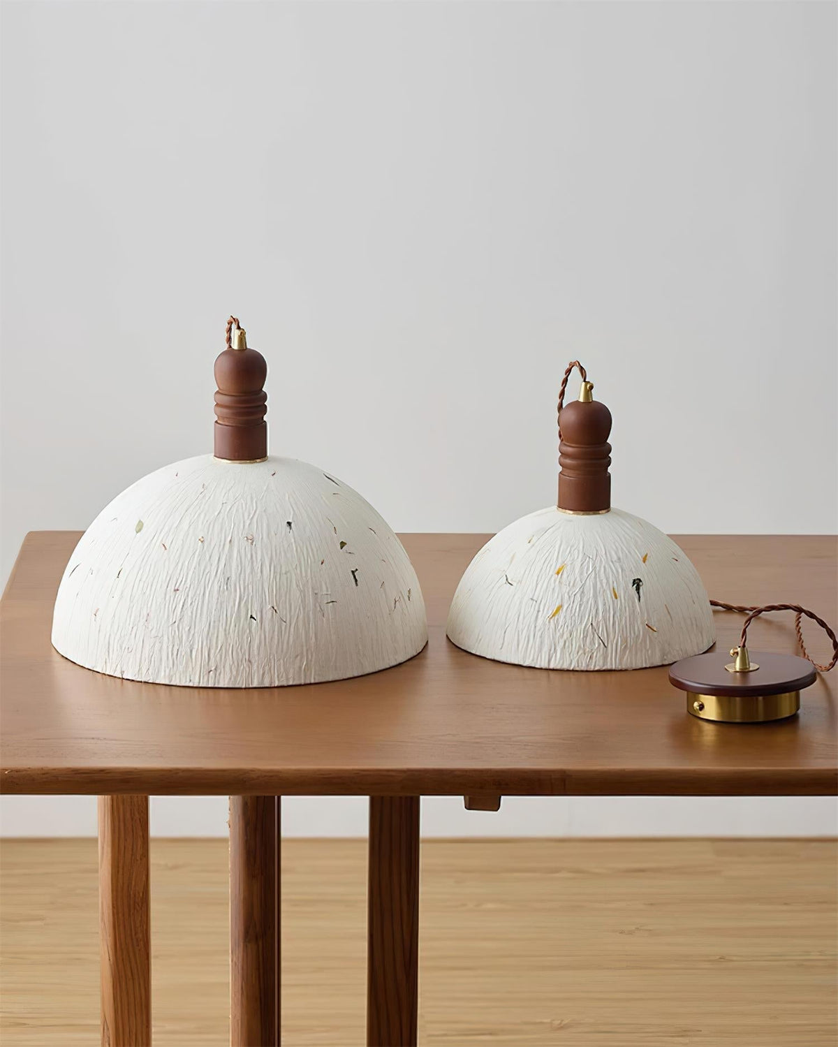 Lioroine Dome Pendant Lamp