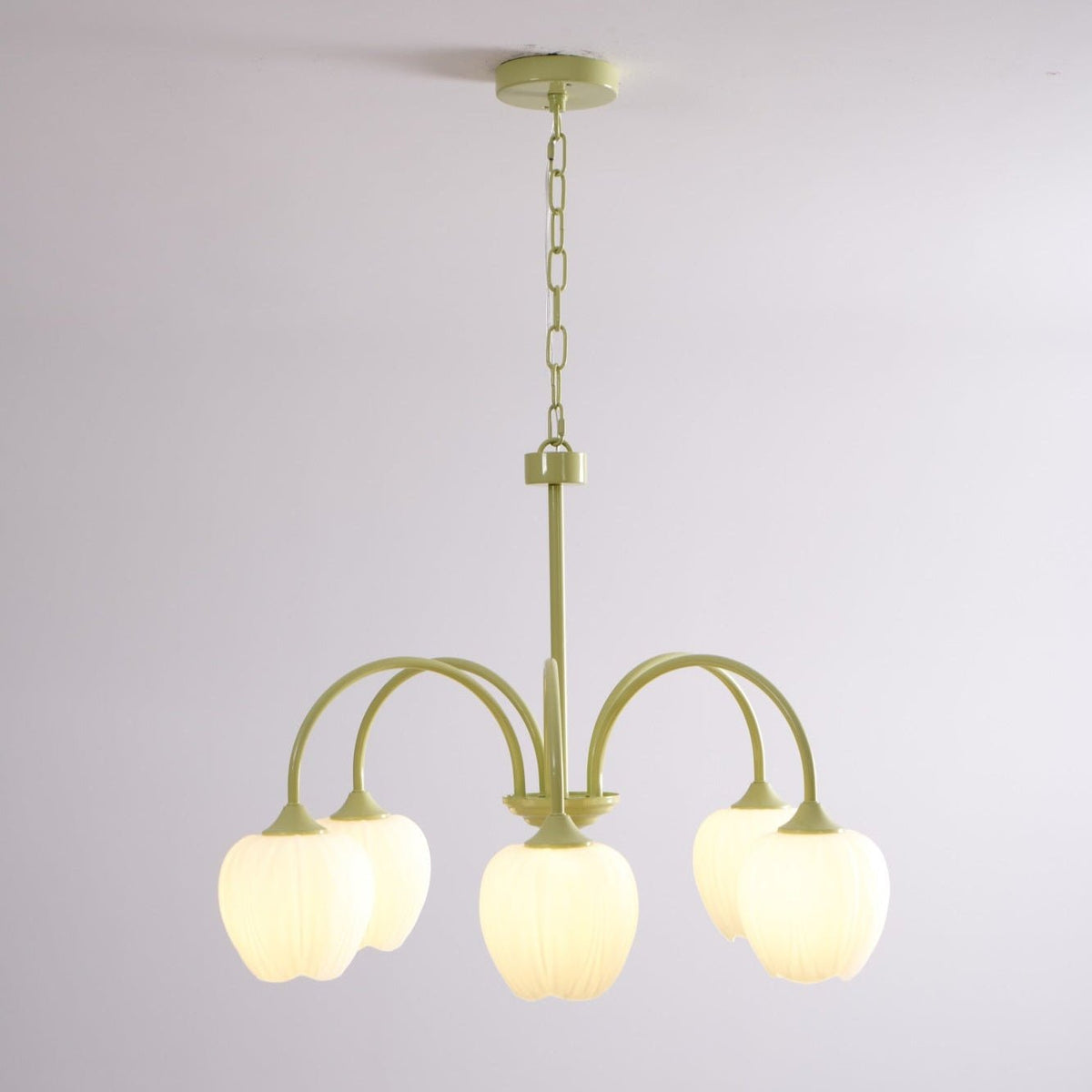 Guvitud Fresh Chandeliers Glass