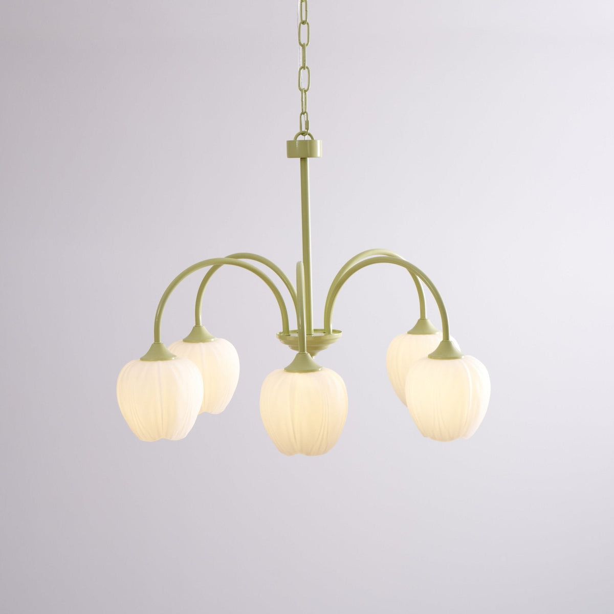Guvitud Fresh Chandeliers Glass