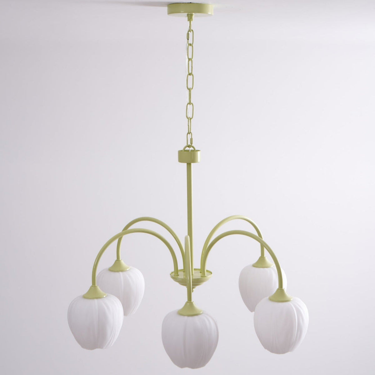 Guvitud Fresh Chandeliers Glass