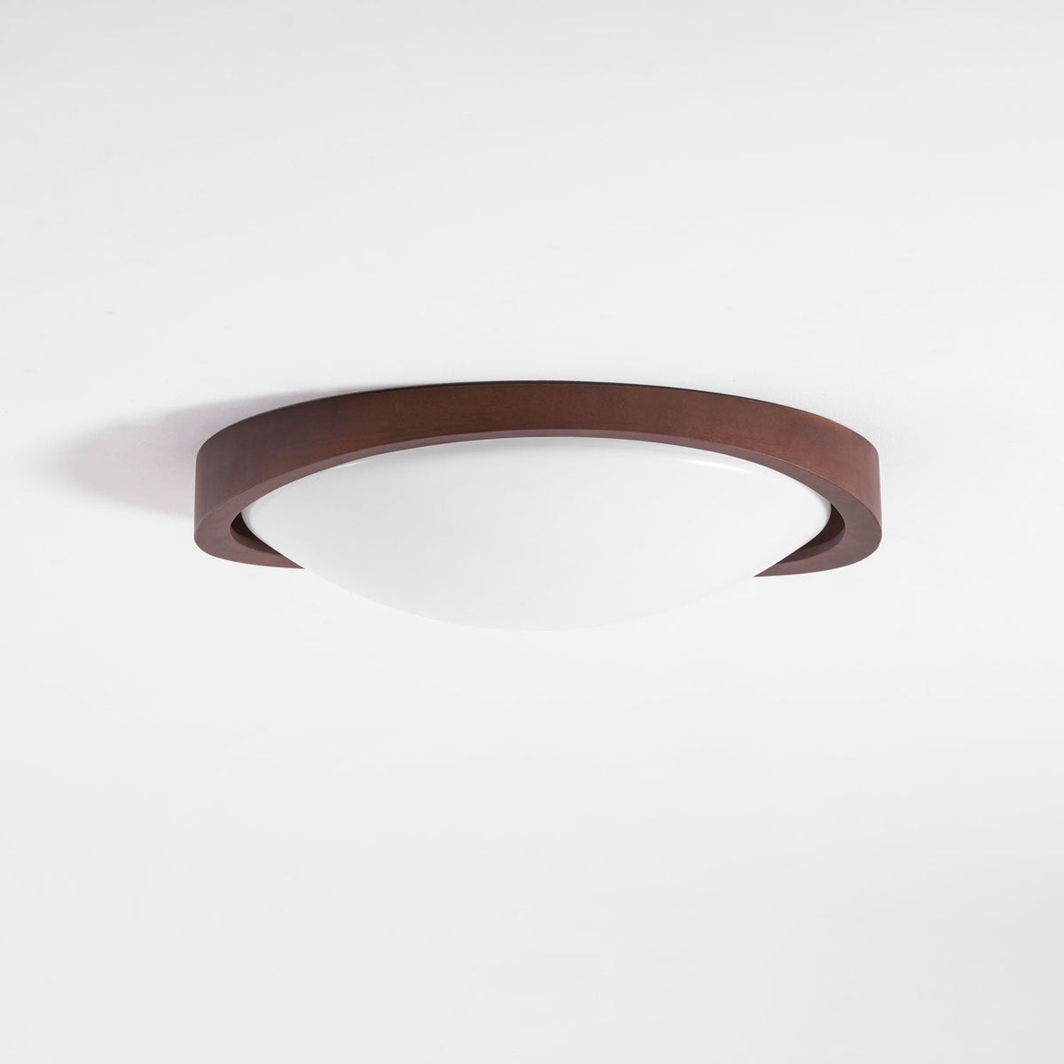 Sylvian Ceiling Light