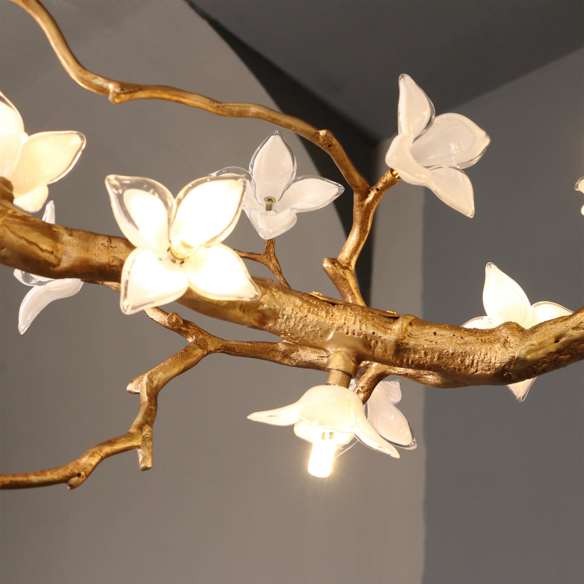 Renoora Chandelier