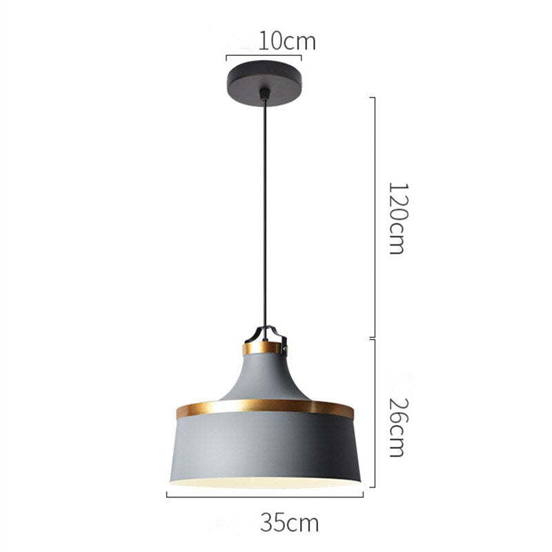 Bipeder Modern Colorful Single Pendant Light, Metal Shade
