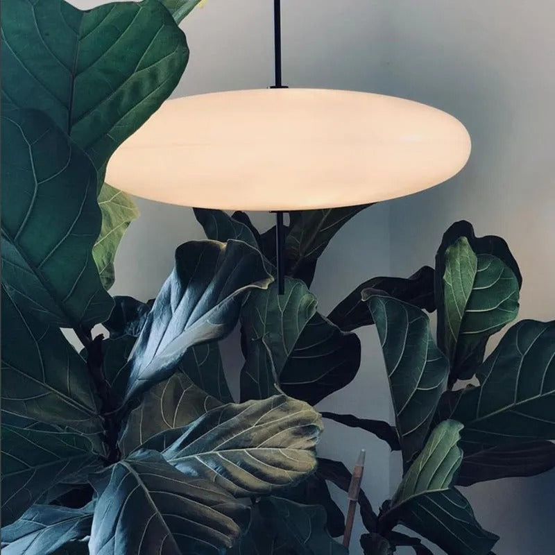 Wivovur Nordic Modern Oval Single Pendant Light