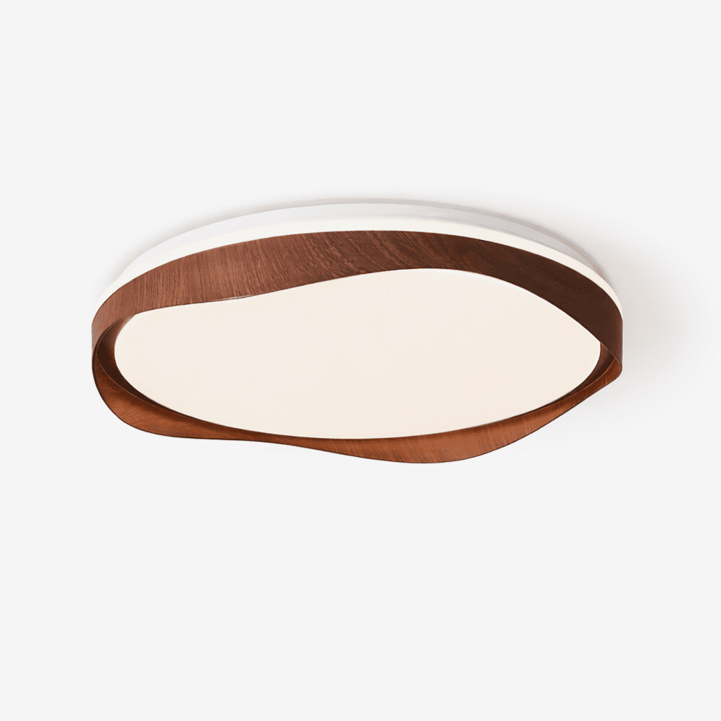 Norelella Loop Ceiling Light