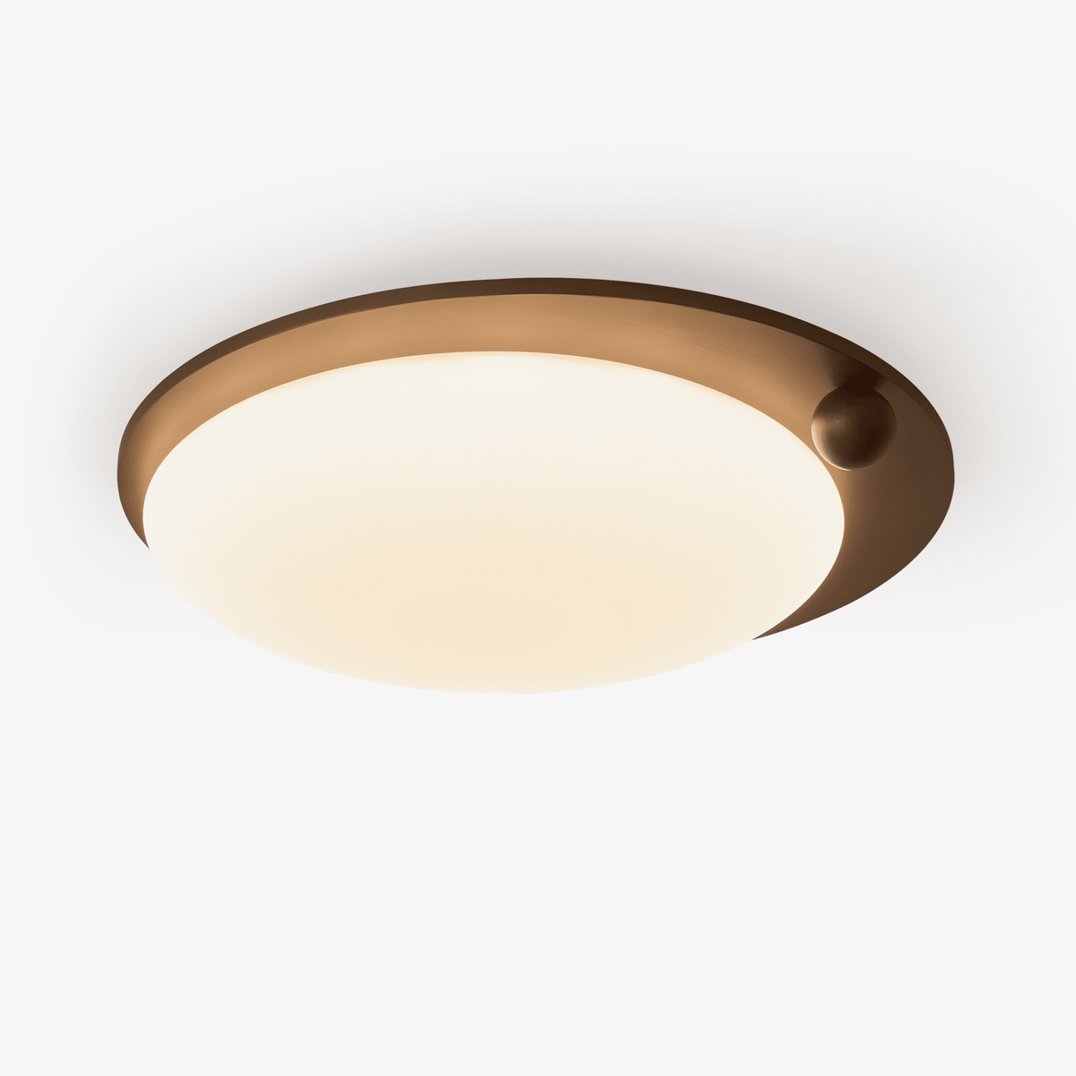 Wood Accent Ceiling Light