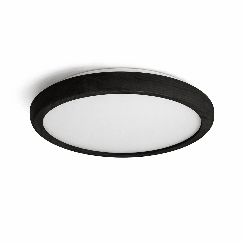 Liorvale Ceiling Light