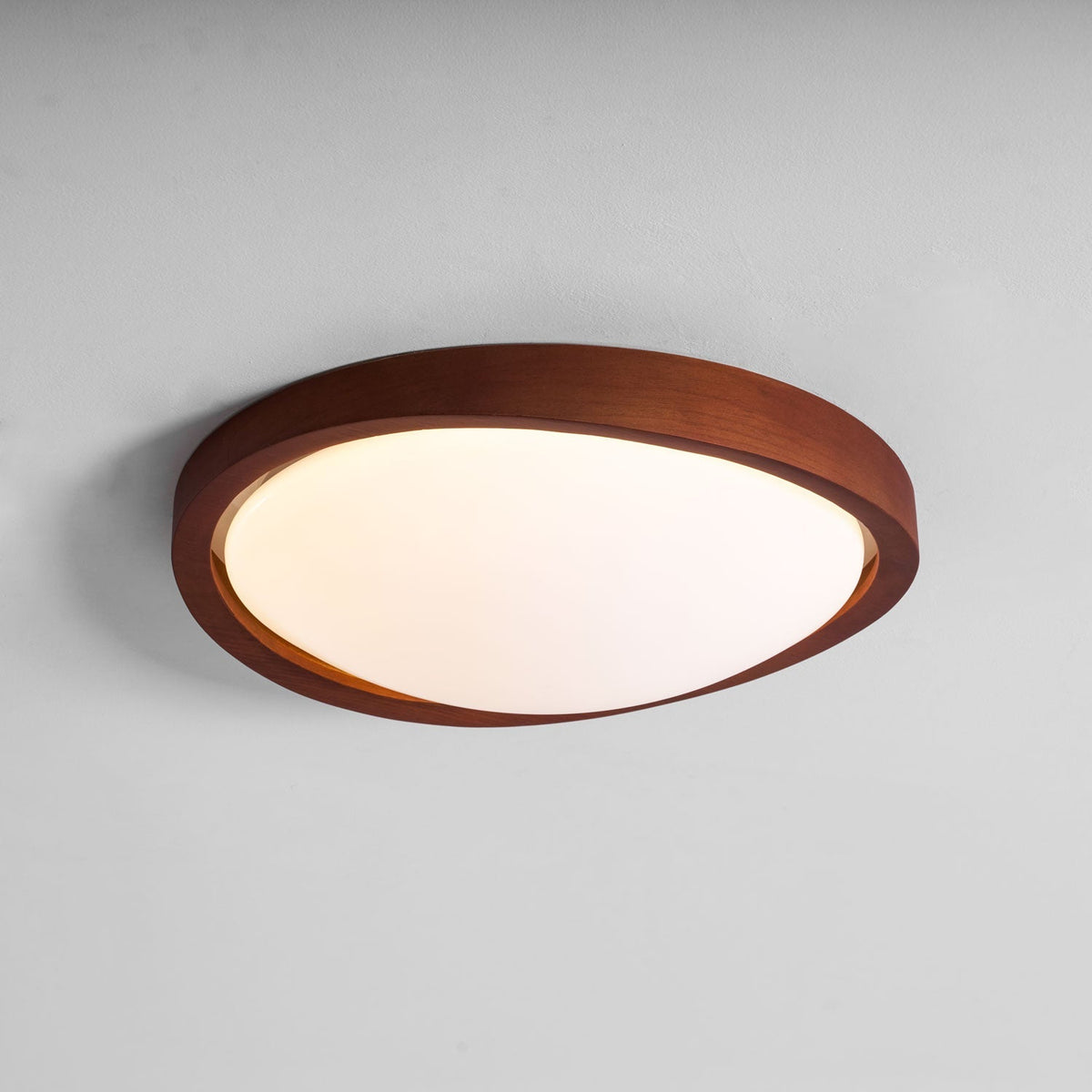 Sylvian Ceiling Light