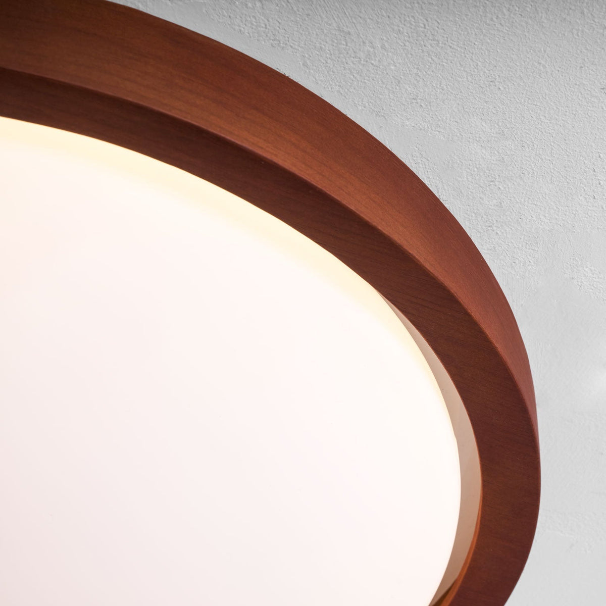 Sylvian Ceiling Light