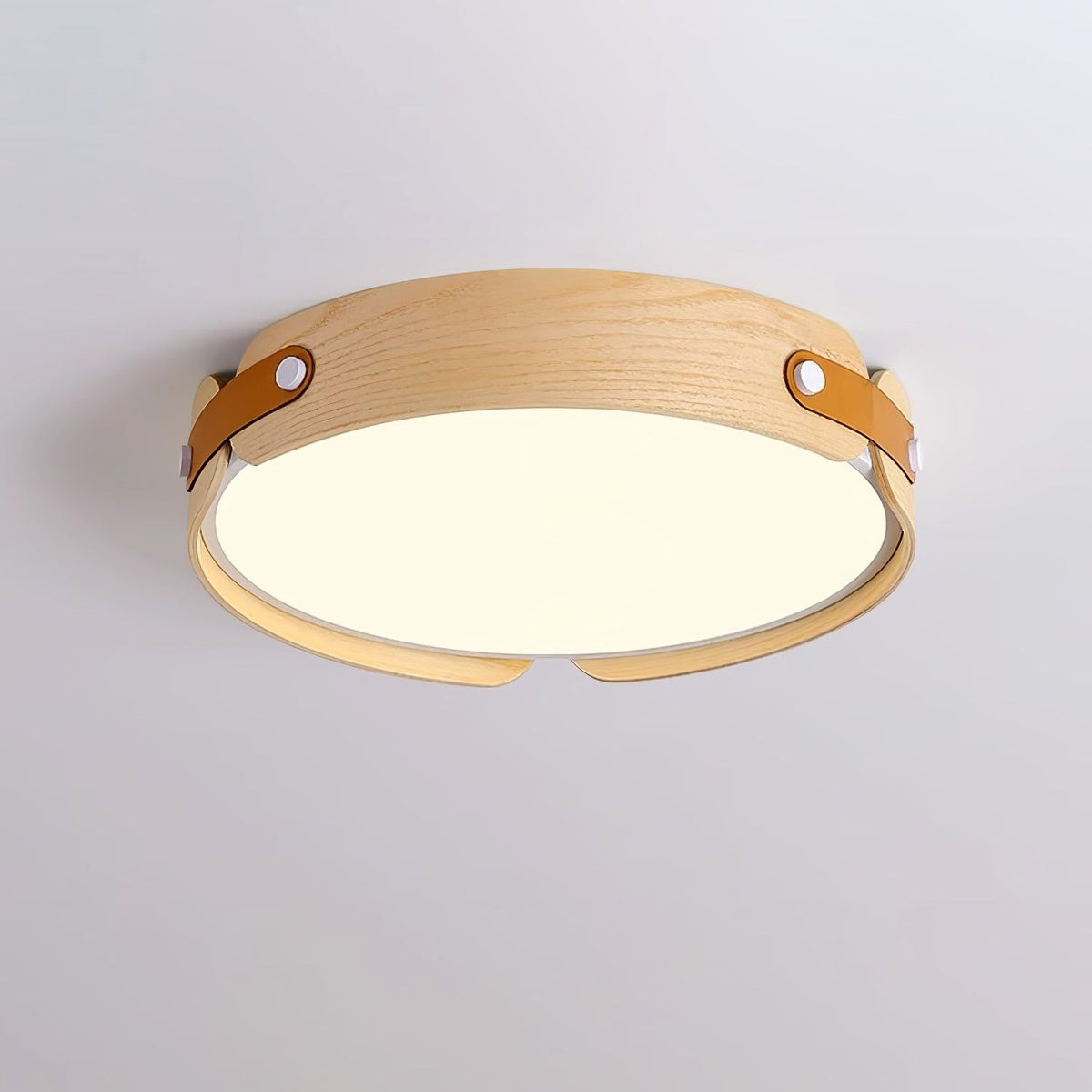 Edan Modern Minimalist Wood Ceiling Light