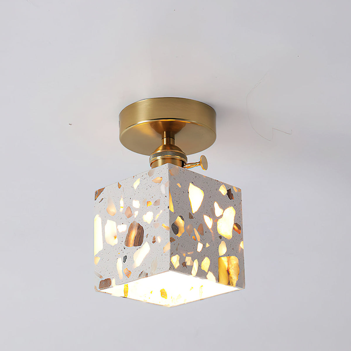 Avenerora Ceiling Light