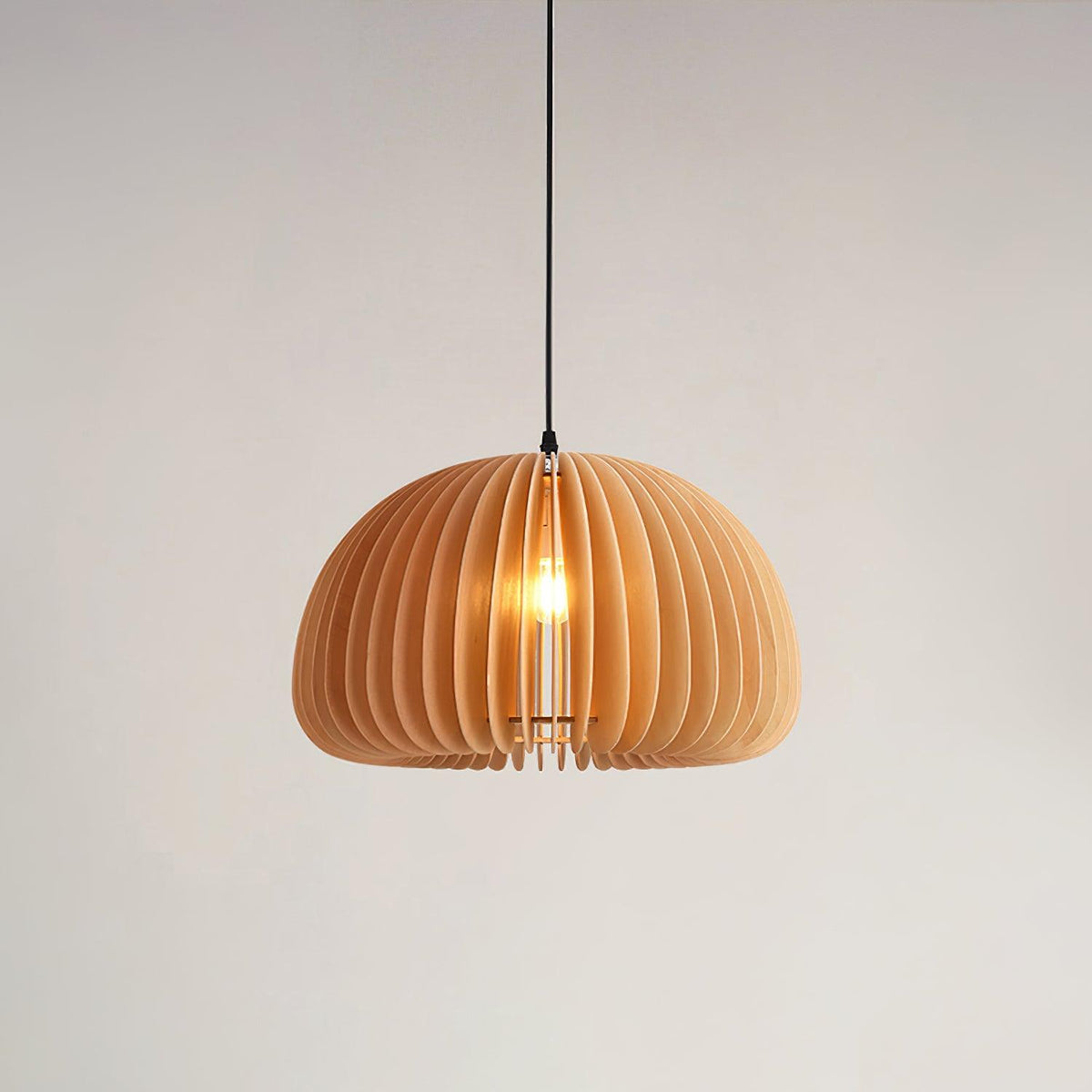 Liorard Pendant Lamp