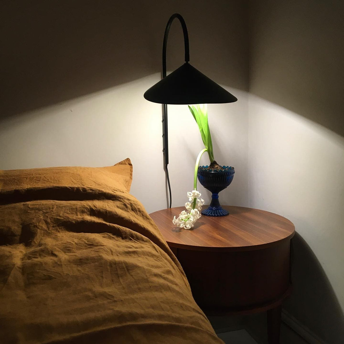 Alocasia Arc Plug-in Wall Lamp
