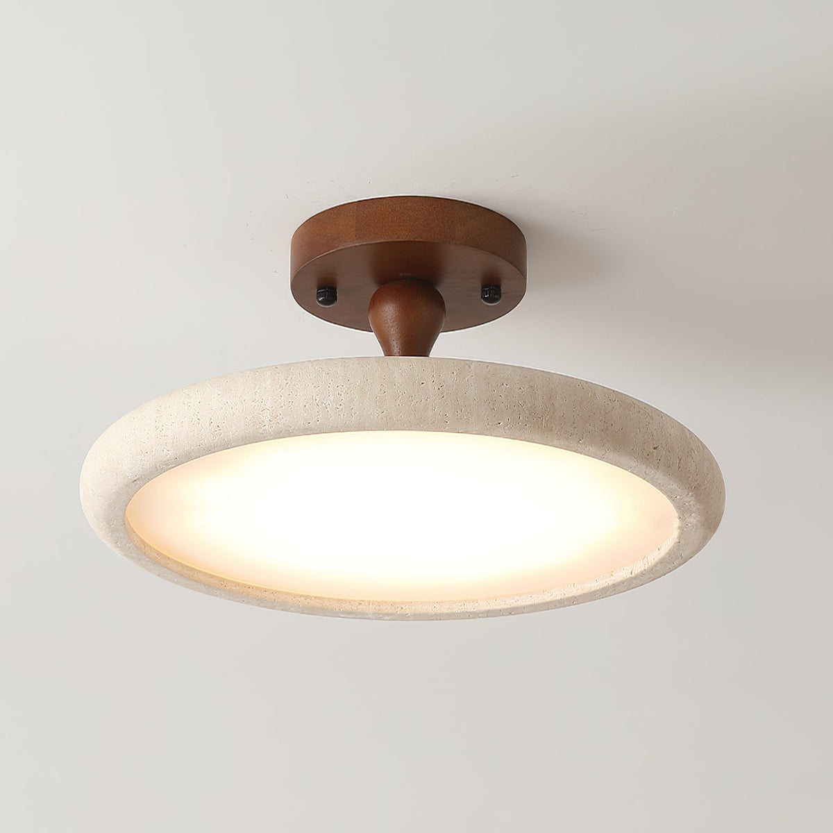 Emmeron Ceiling Light
