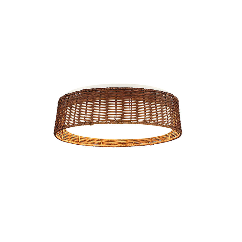 Raffielle Ceiling Light