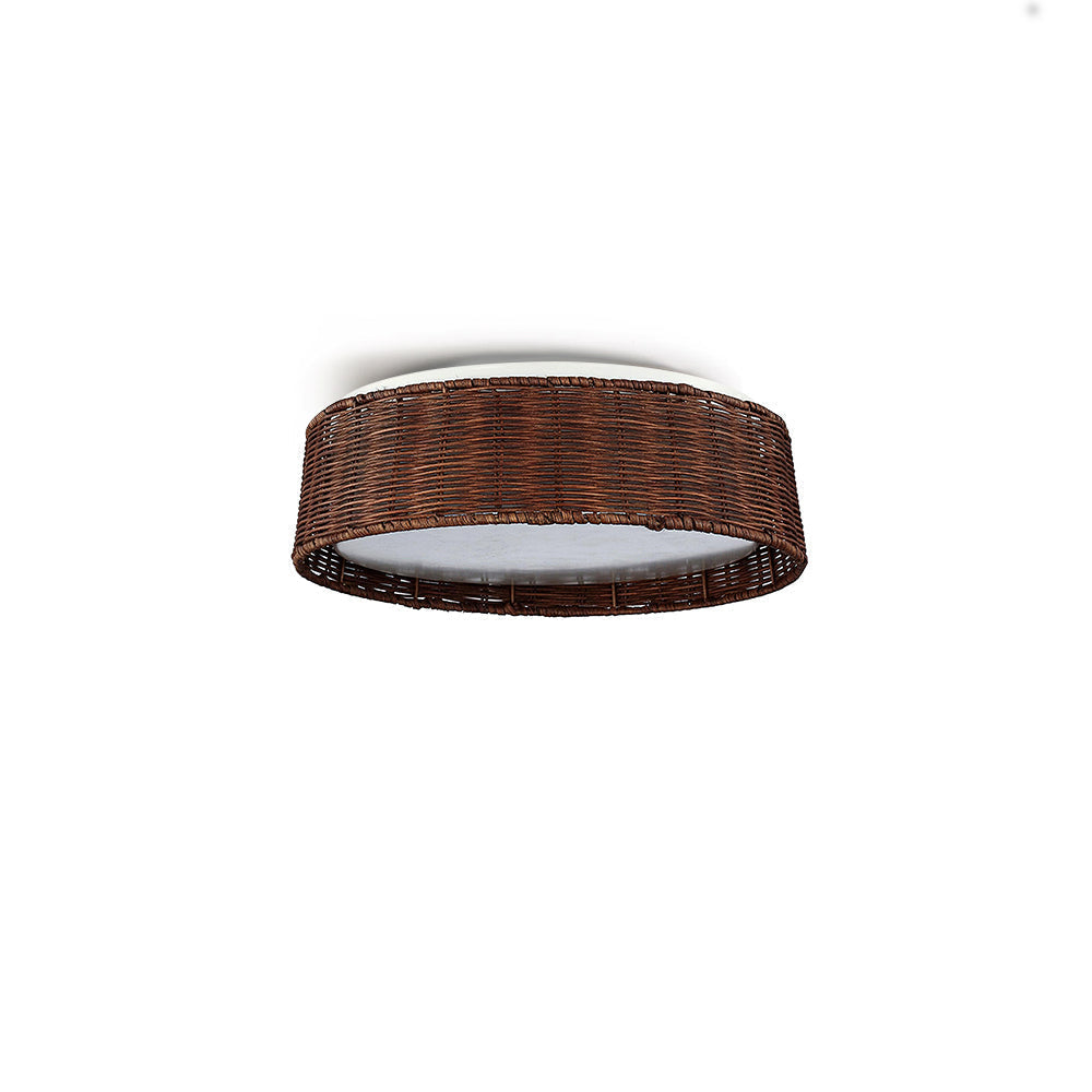 Raffielle Ceiling Light