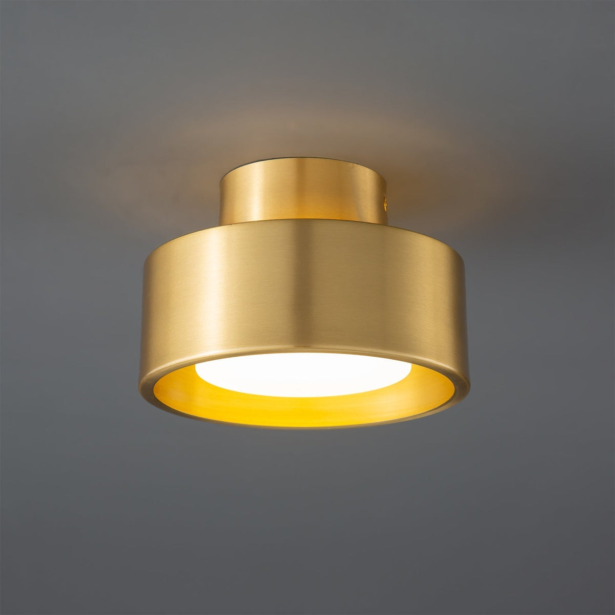 Orelirina Ceiling Light