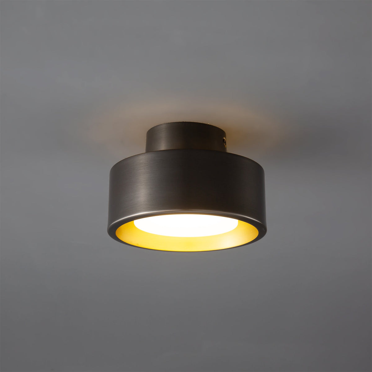 Orelirina Ceiling Light