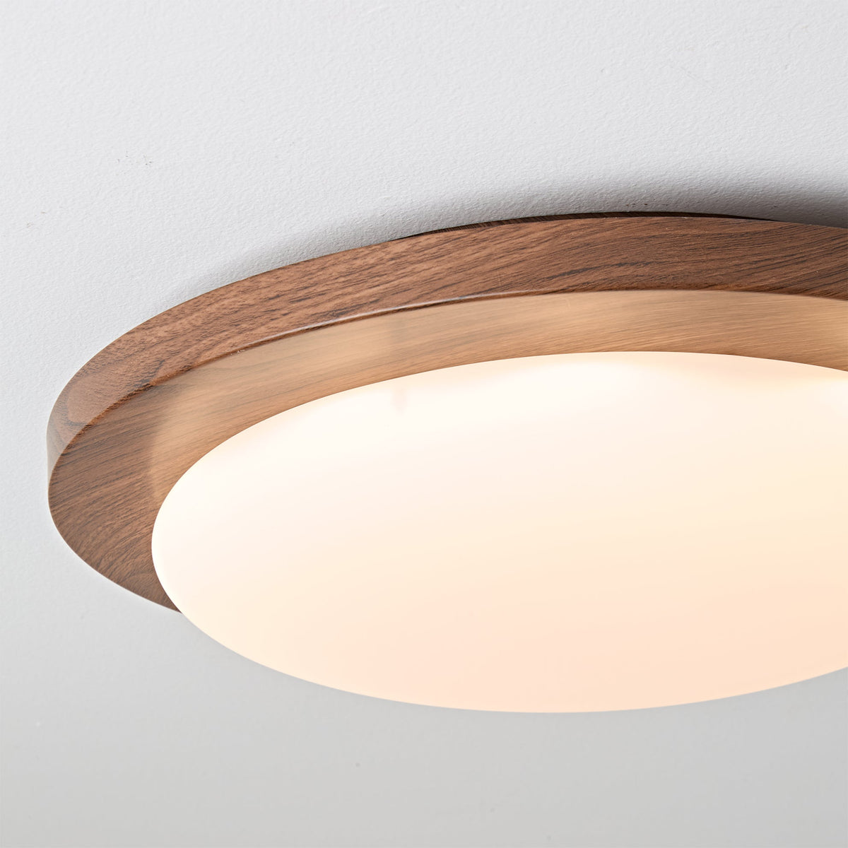 Rivorella Ceiling Light