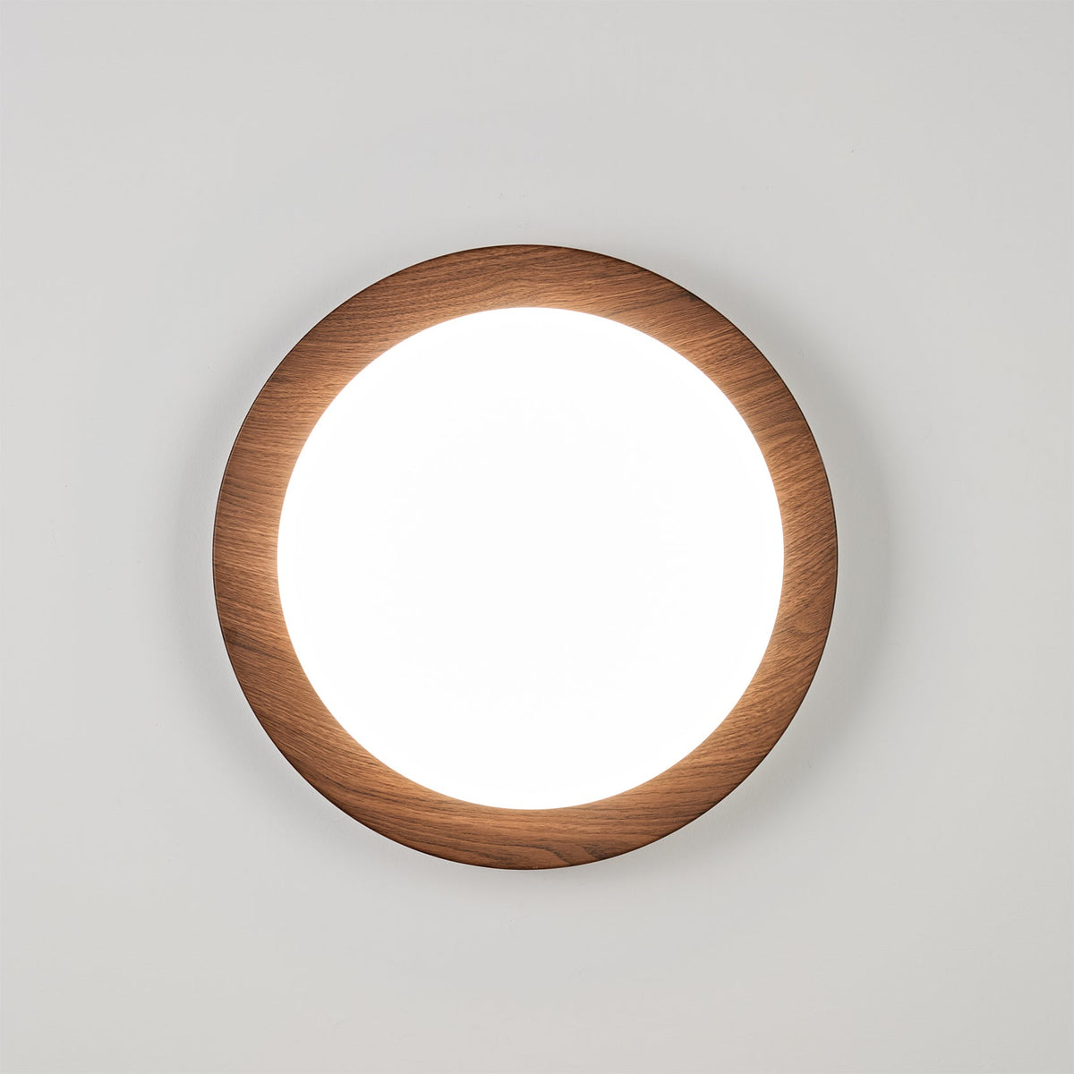 Rivorella Ceiling Light