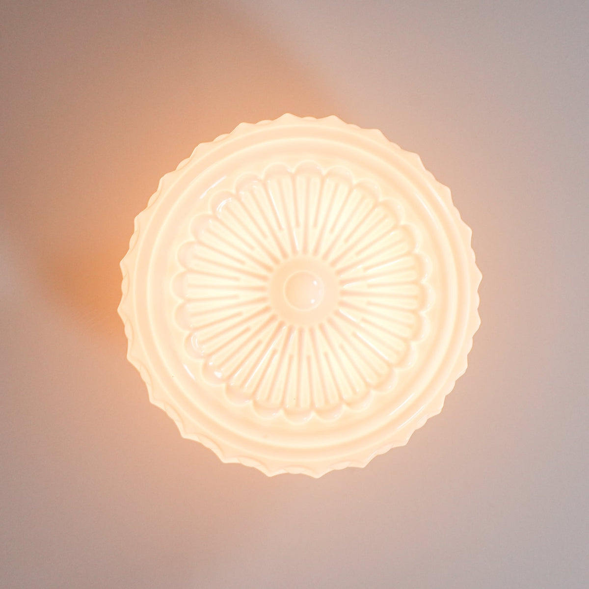 Fuliber Glass Ceiling Light