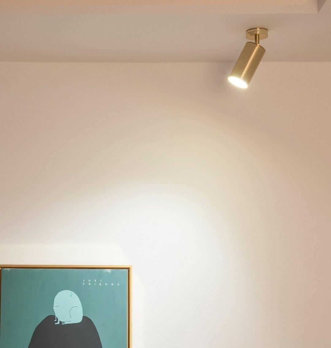 Elaivora Spotlight Wall Light