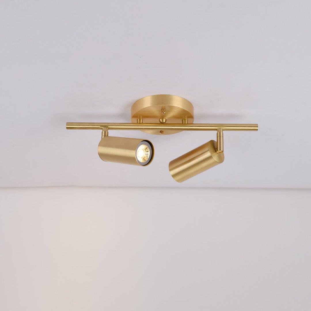 Elaivora Spotlight Wall Light