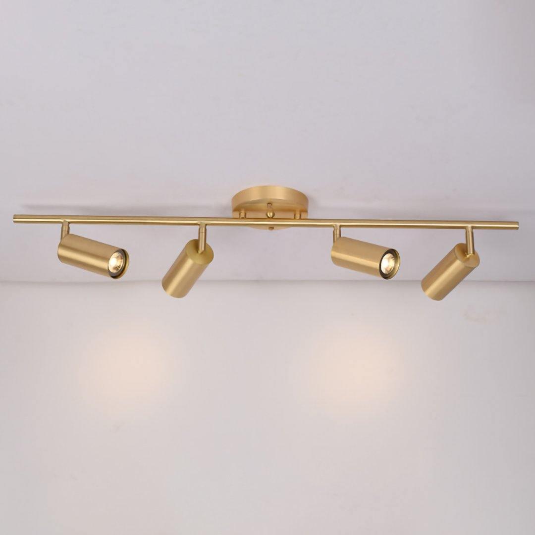 Elaivora Spotlight Wall Light