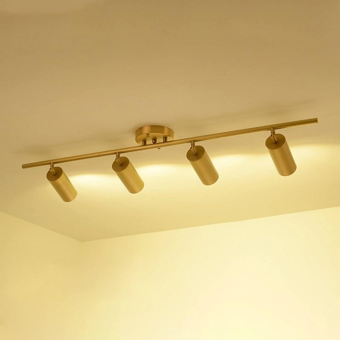 Elaivora Spotlight Wall Light