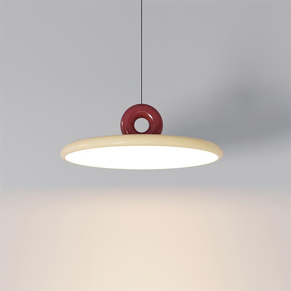 Novel Pendant Lamp