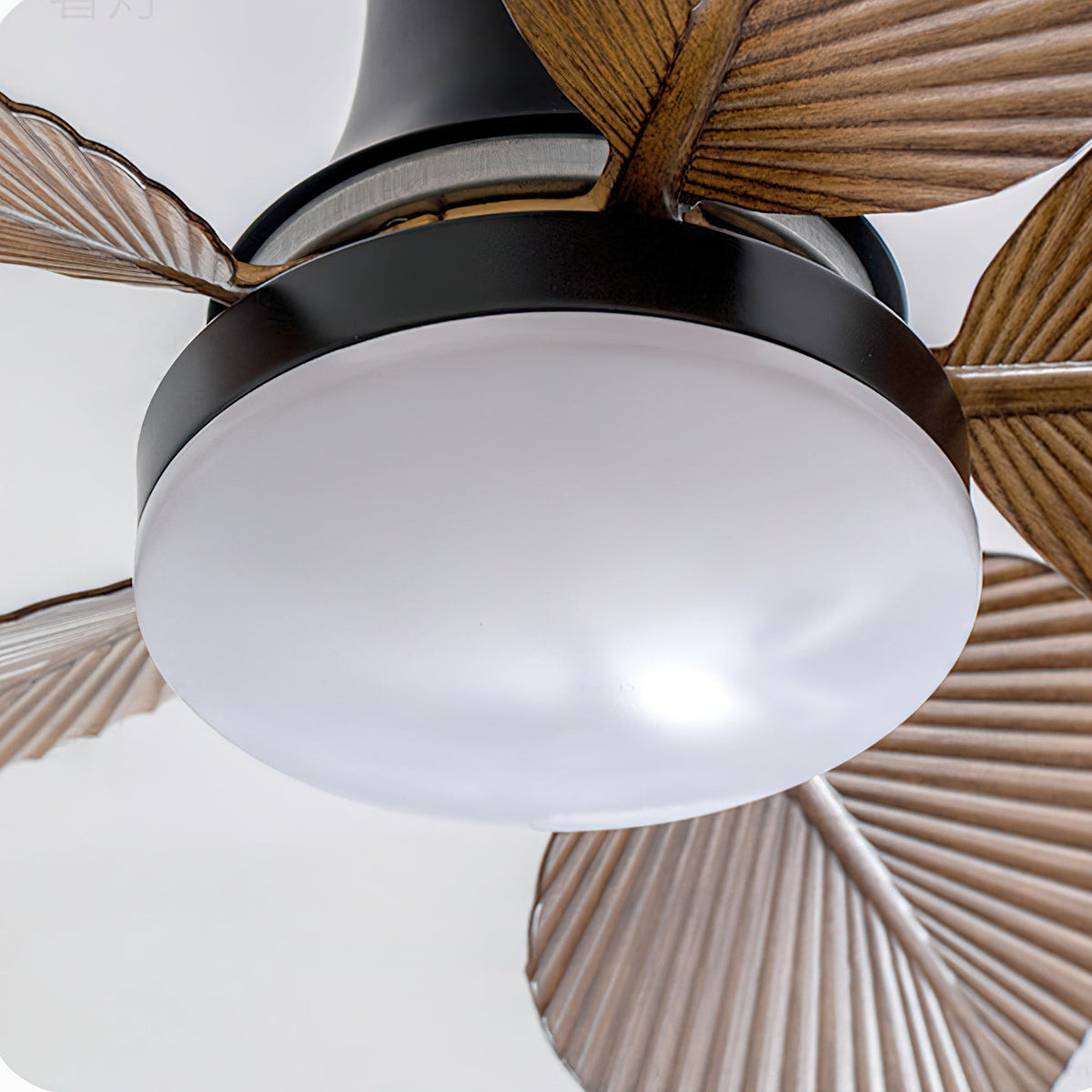 Paloma Ceiling Fan Light