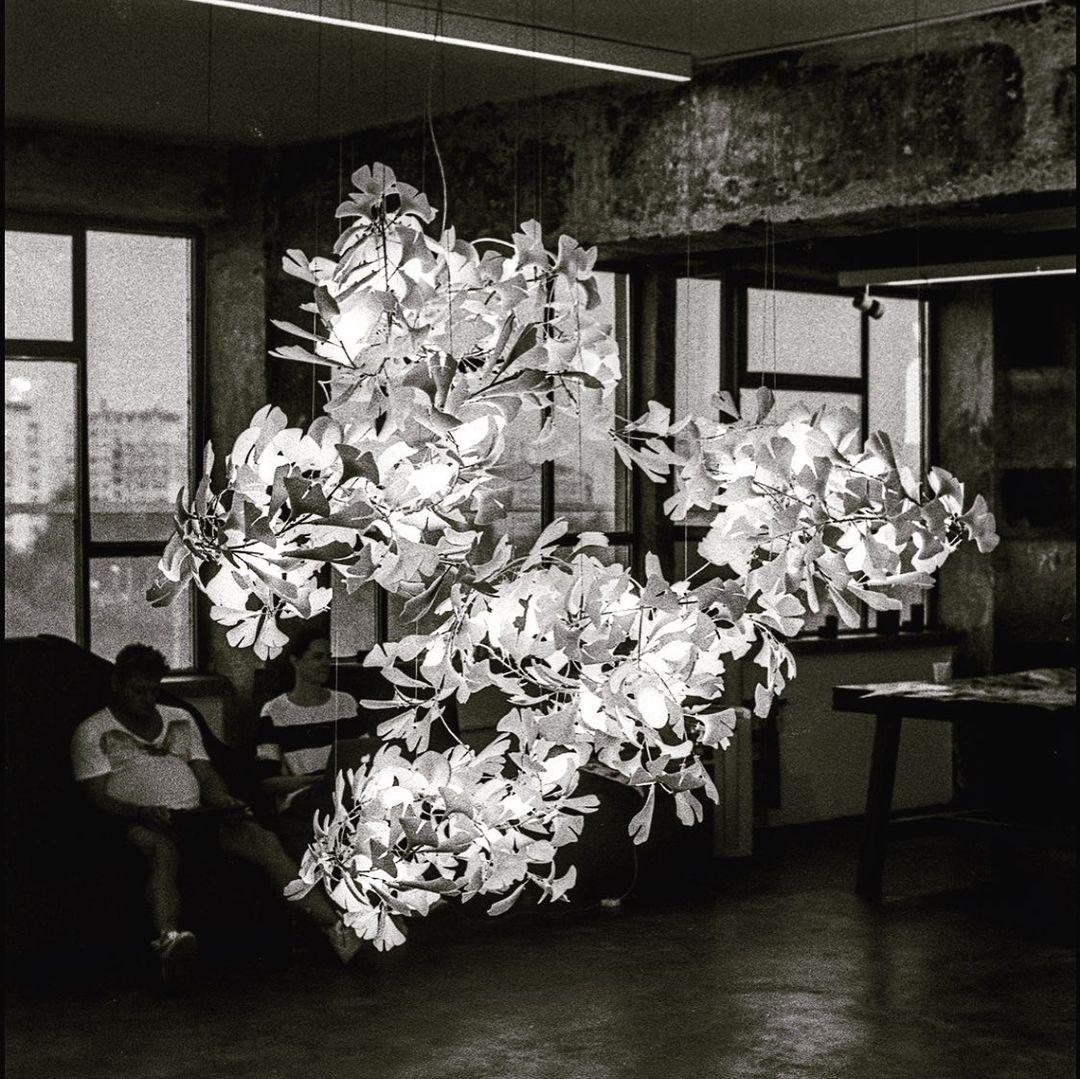 Elauira Chandelier