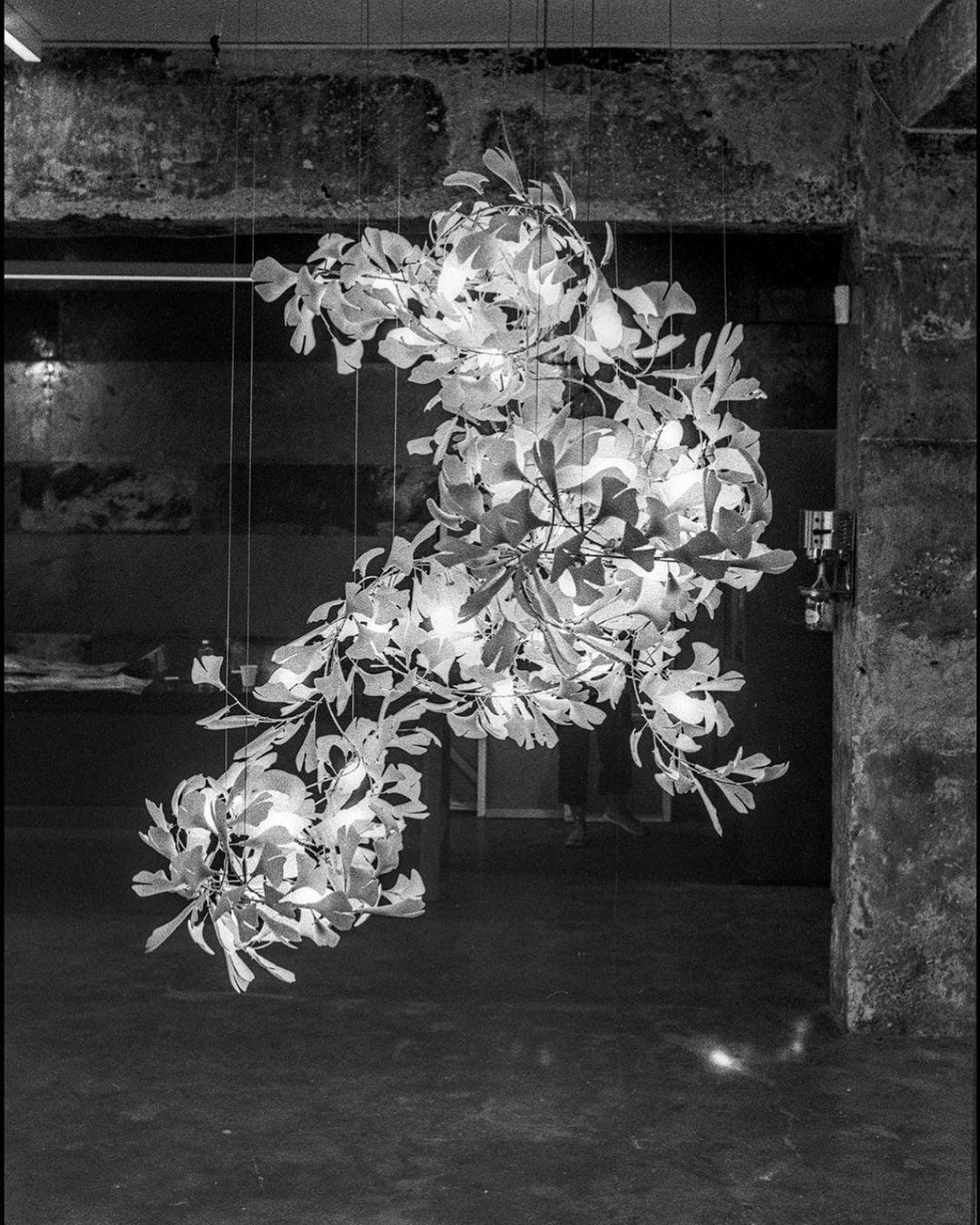 Elauira Chandelier