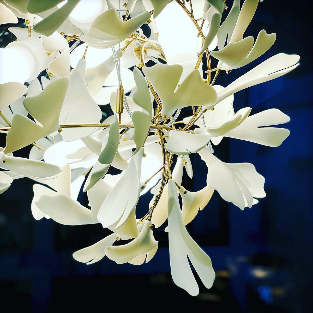 Elauira Chandelier